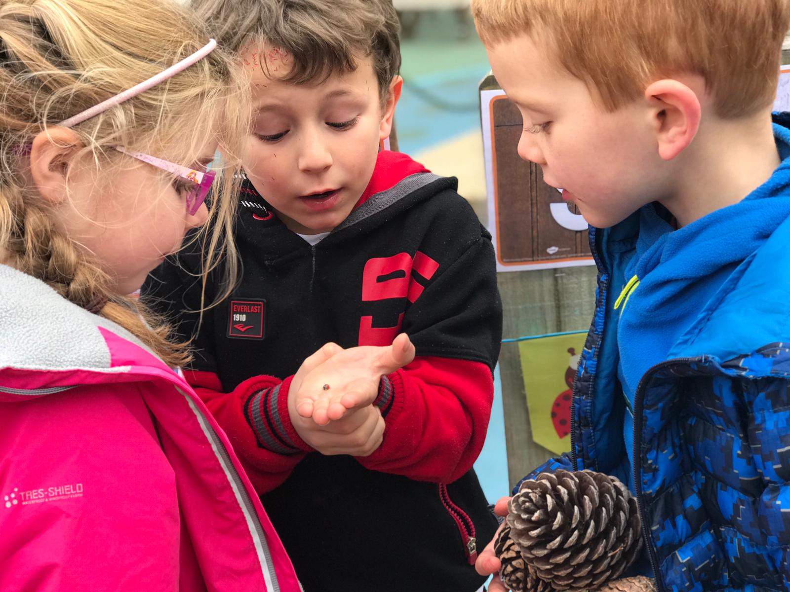 Children exploring nature